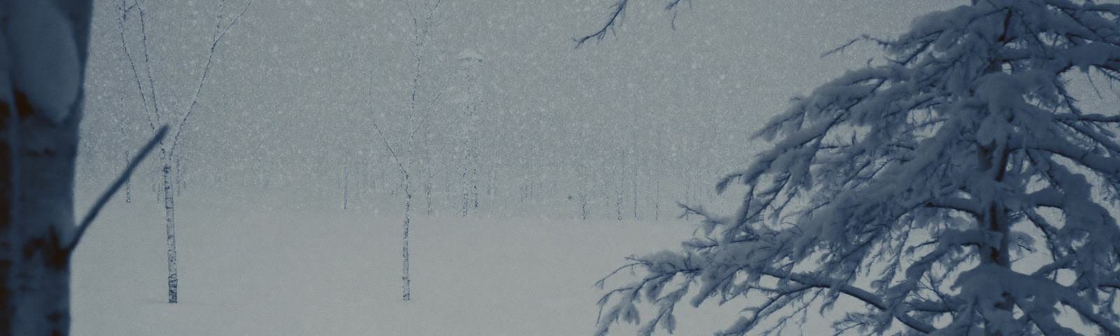 Winter landscape characteristic of Asia