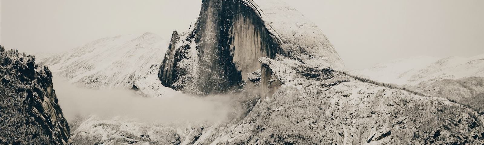 Winter landscape characteristic of North America